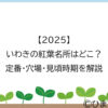 【2025】いわきの紅葉名所はどこ？定番・穴場・見頃時期を解説