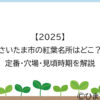 【2025】さいたま市の紅葉名所はどこ？定番・穴場・見頃時期を解説