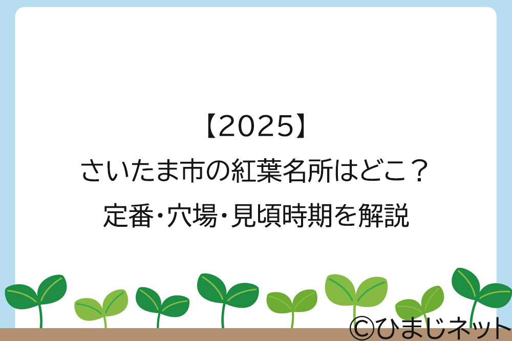 【2025】さいたま市の紅葉名所はどこ？定番・穴場・見頃時期を解説