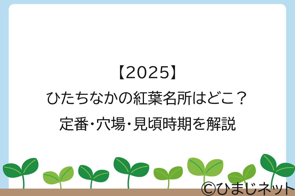【2025】ひたちなかの紅葉名所はどこ？定番・穴場・見頃時期を解説