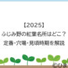 【2025】ふじみ野の紅葉名所はどこ？定番・穴場・見頃時期を解説