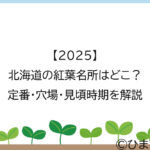 【2025】北海道の紅葉名所はどこ？定番・穴場・見頃時期を解説