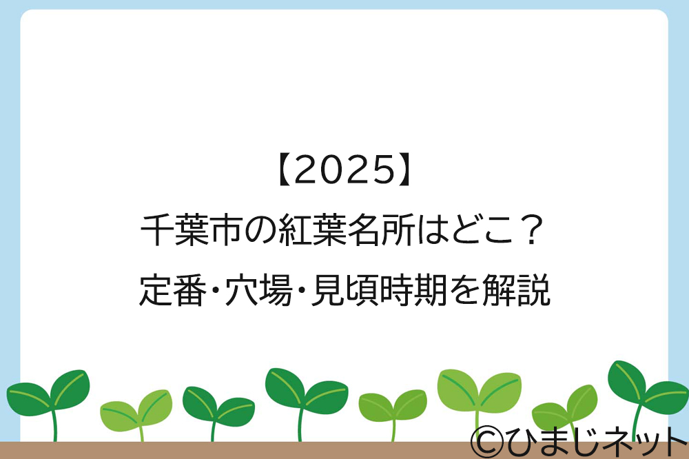 【2025】千葉市の紅葉名所はどこ？定番・穴場・見頃時期を解説