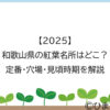 【2025】和歌山県の紅葉名所はどこ？定番・穴場・見頃時期を解説