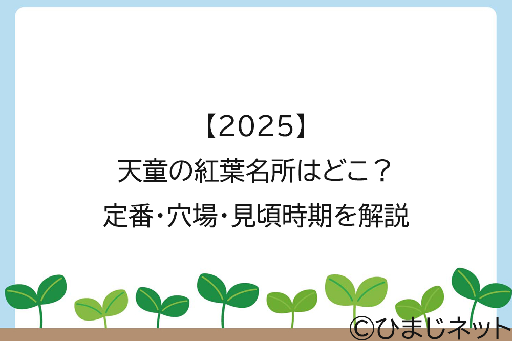 【2025】天童の紅葉名所はどこ？定番・穴場・見頃時期を解説