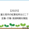 【2025】富士見市の紅葉名所はどこ？定番・穴場・見頃時期を解説