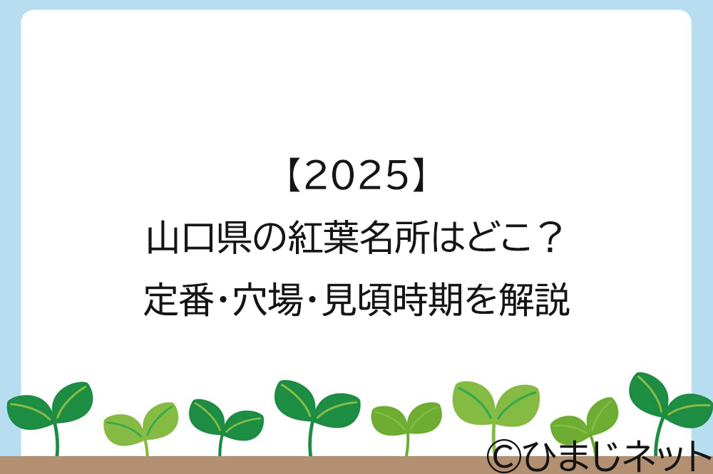 【2025】山口県の紅葉名所はどこ？定番・穴場・見頃時期を解説