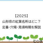 【2025】山形県の紅葉名所はどこ？定番・穴場・見頃時期を解説