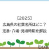 【2025】広島県の紅葉名所はどこ？定番・穴場・見頃時期を解説