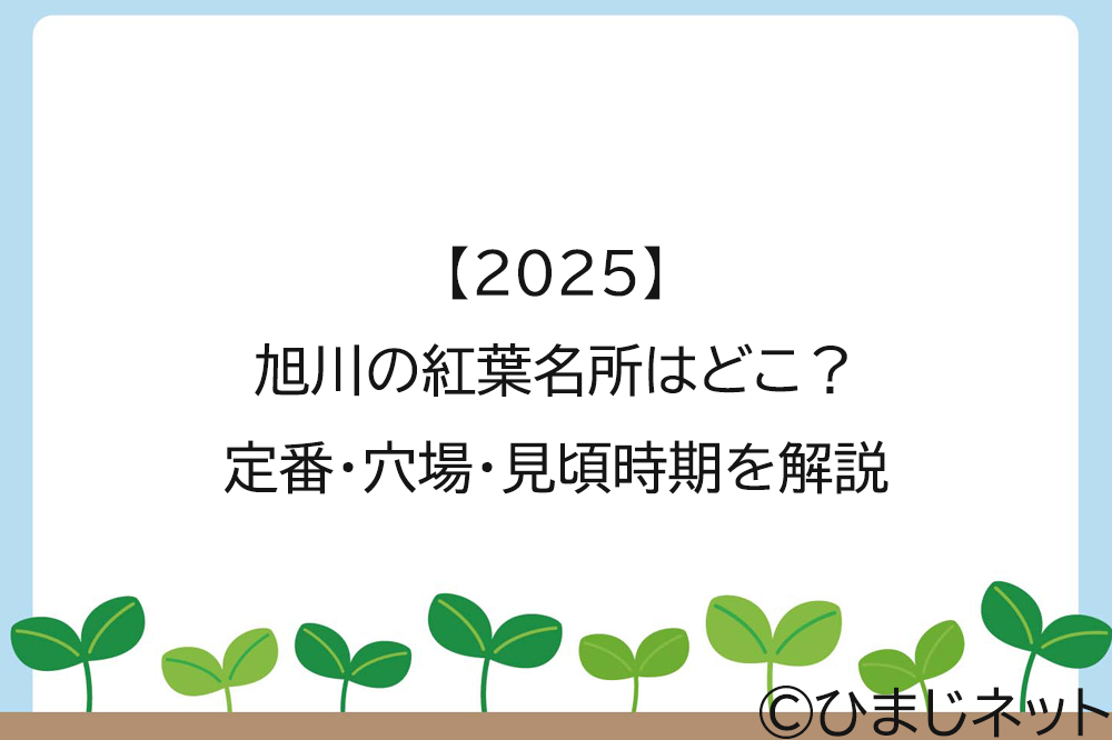 【2025】旭川の紅葉名所はどこ？定番・穴場・見頃時期を解説