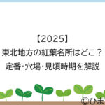 【2025】東北地方の紅葉名所はどこ？定番・穴場・見頃時期を解説