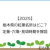【2025】栃木県の紅葉名所はどこ？定番・穴場・見頃時期を解説