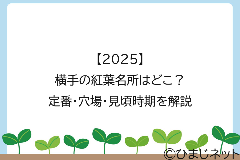 【2025】横手の紅葉名所はどこ？定番・穴場・見頃時期を解説
