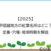 【2025】甲信越地方の紅葉名所はどこ？定番・穴場・見頃時期を解説