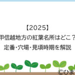 【2025】甲信越地方の紅葉名所はどこ？定番・穴場・見頃時期を解説