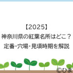 【2025】神奈川県の紅葉名所はどこ？定番・穴場・見頃時期を解説