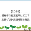 【2025】福島市の紅葉名所はどこ？定番・穴場・見頃時期を解説