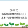 【2025】福島県の紅葉名所はどこ？定番・穴場・見頃時期を解説