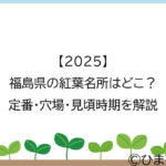 【2025】福島県の紅葉名所はどこ？定番・穴場・見頃時期を解説