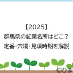 【2025】群馬県の紅葉名所はどこ？定番・穴場・見頃時期を解説