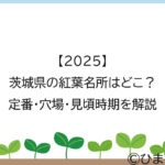 【2025】茨城県の紅葉名所はどこ？定番・穴場・見頃時期を解説