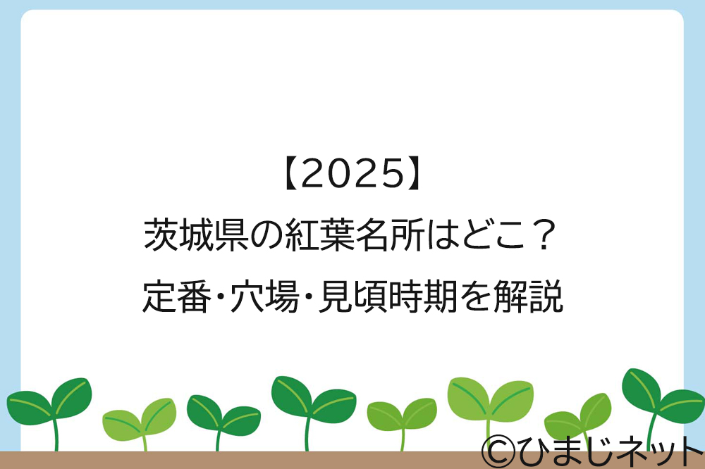 【2025】茨城県の紅葉名所はどこ？定番・穴場・見頃時期を解説