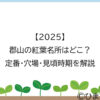 【2025】郡山の紅葉名所はどこ？定番・穴場・見頃時期を解説