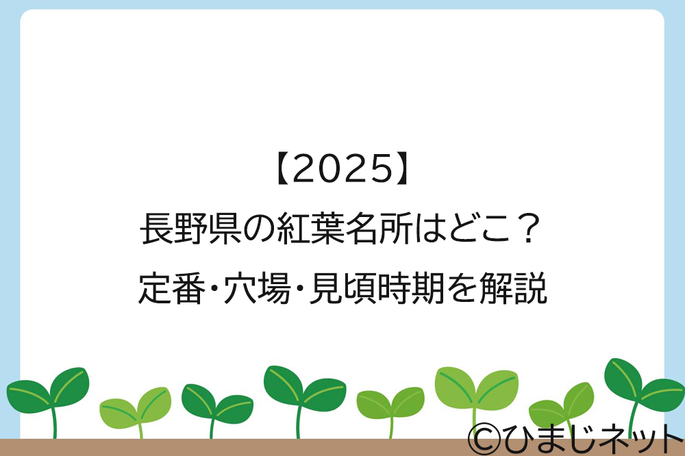 【2025】長野県の紅葉名所はどこ？定番・穴場・見頃時期を解説