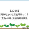 【2025】関東地方の紅葉名所はどこ？定番・穴場・見頃時期を解説