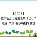 【2025】関東地方の紅葉名所はどこ？定番・穴場・見頃時期を解説