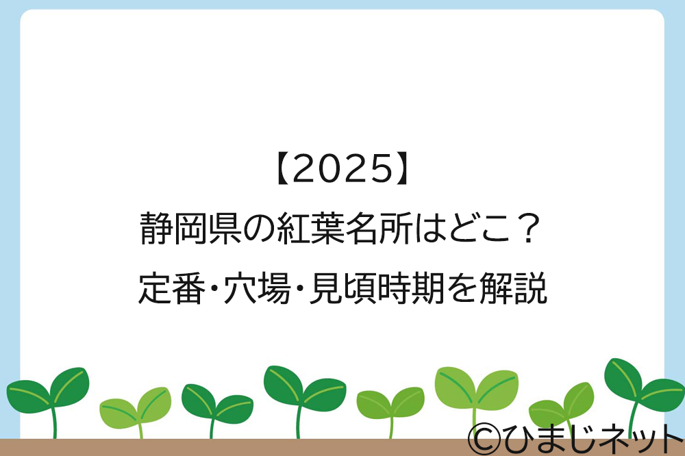 【2025】静岡県の紅葉名所はどこ？定番・穴場・見頃時期を解説
