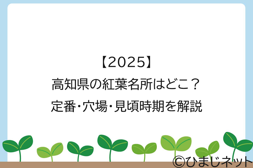 【2025】高知県の紅葉名所はどこ？定番・穴場・見頃時期を解説