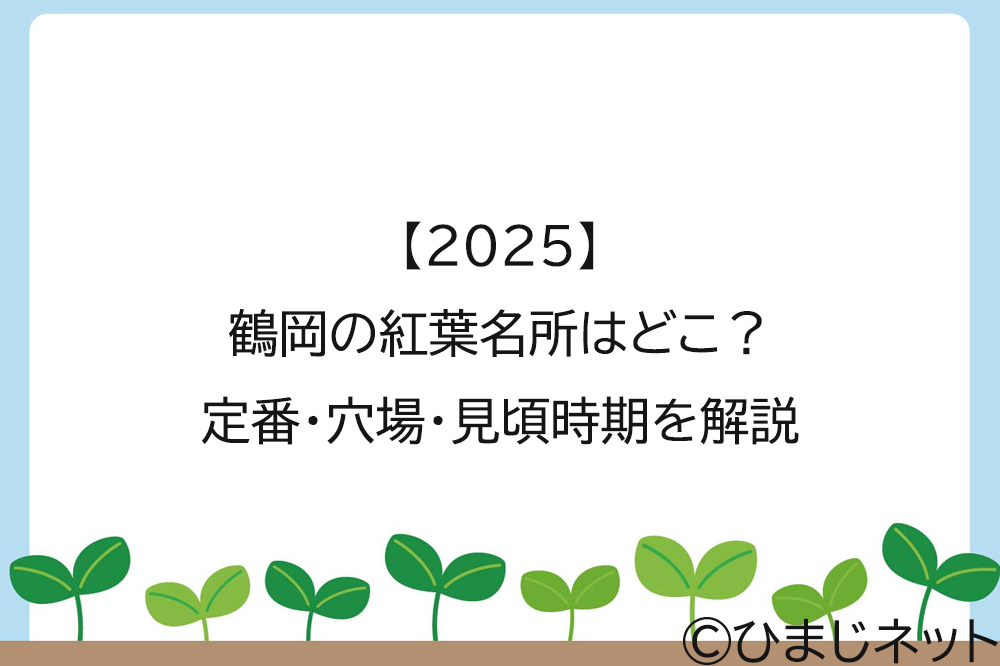 【2025】鶴岡の紅葉名所はどこ？定番・穴場・見頃時期を解説