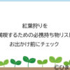 紅葉狩りを満喫するための必携持ち物リスト！お出かけ前にチェック