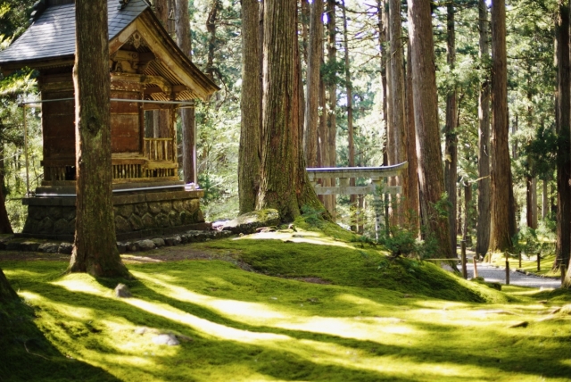 平泉寺白山神社