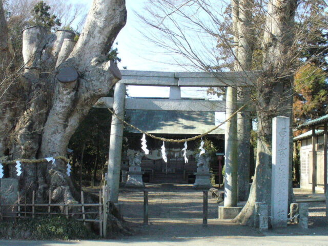 胸形神社(小山市)