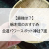 【最強は？】栃木県のおすすめ金運パワースポット神社7選